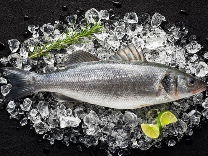 Uncooked Bass Fish