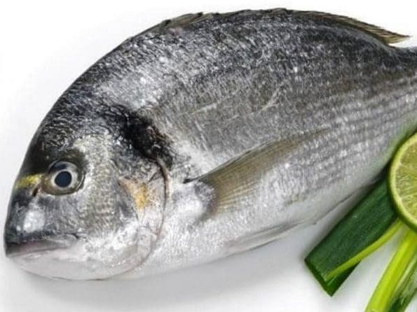Uncooked Denies Fish