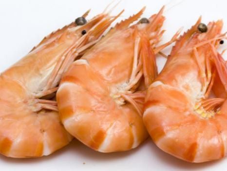 Shrimp With Peel Meal