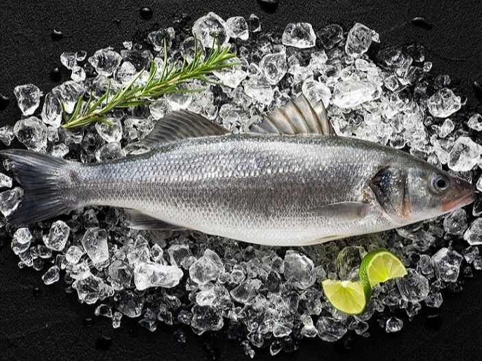 Bass Fish Meal