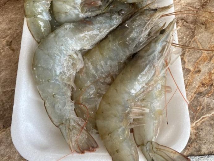 Unpeeled Shrimp Medium