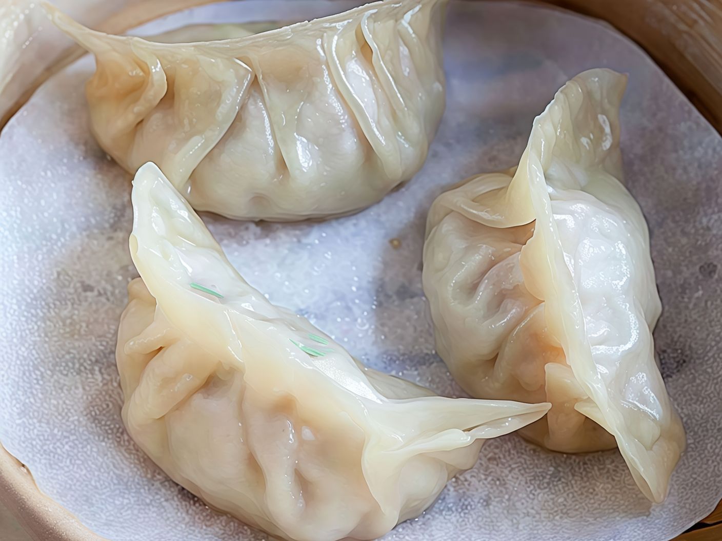A13- Steamed Chicken Dumpling