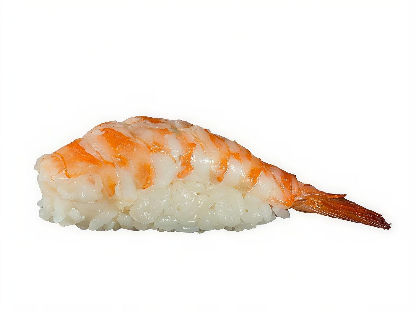 Shrimp Nigiri