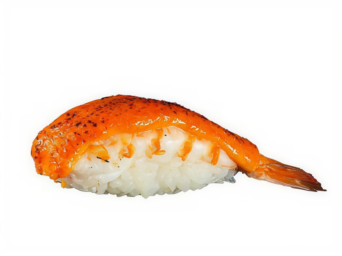 Sumo Shrimp Nigiri