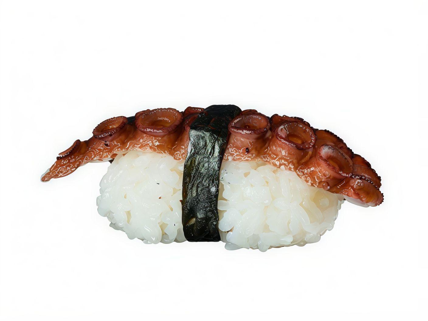 Octopus Nigiri