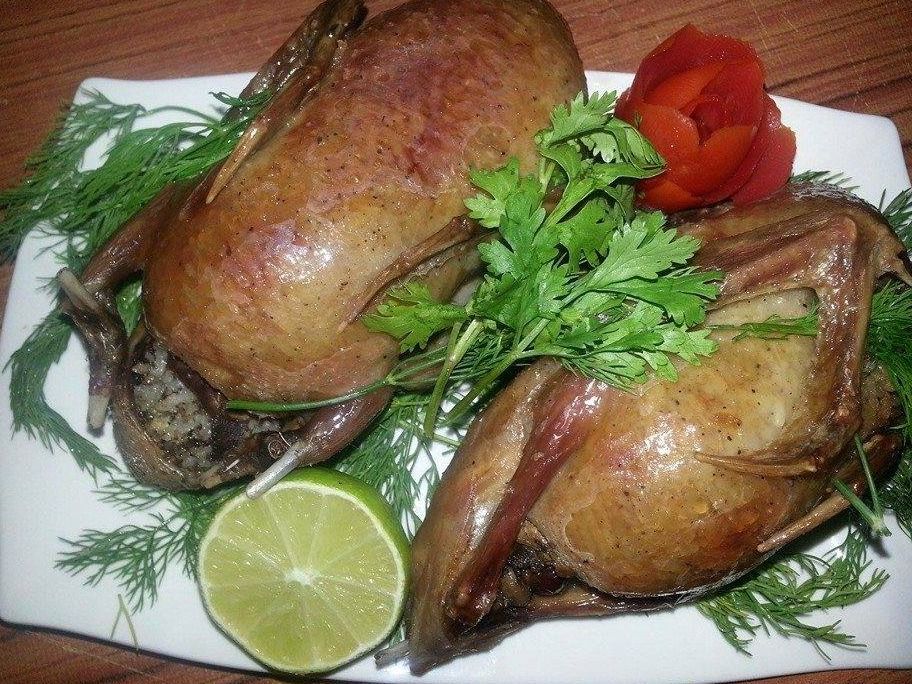 2 stuffed pigeons