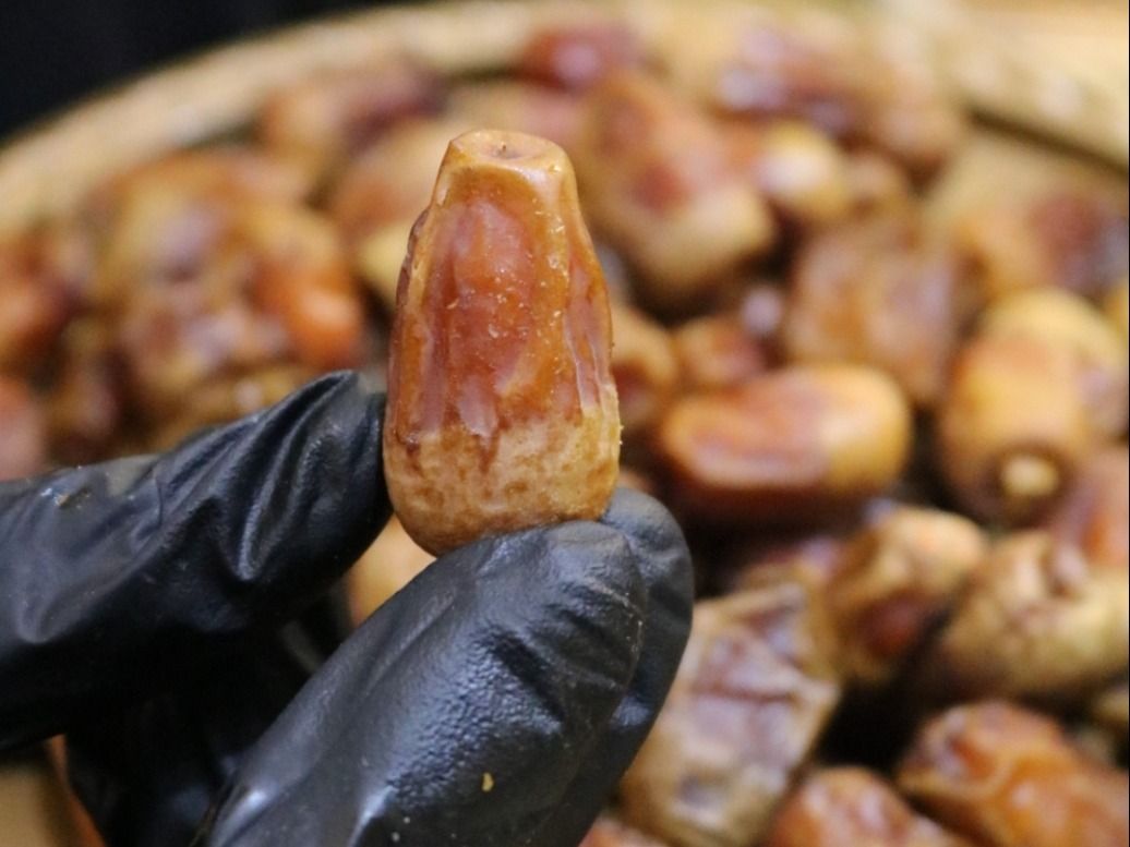 Sukkari Rutab Dates