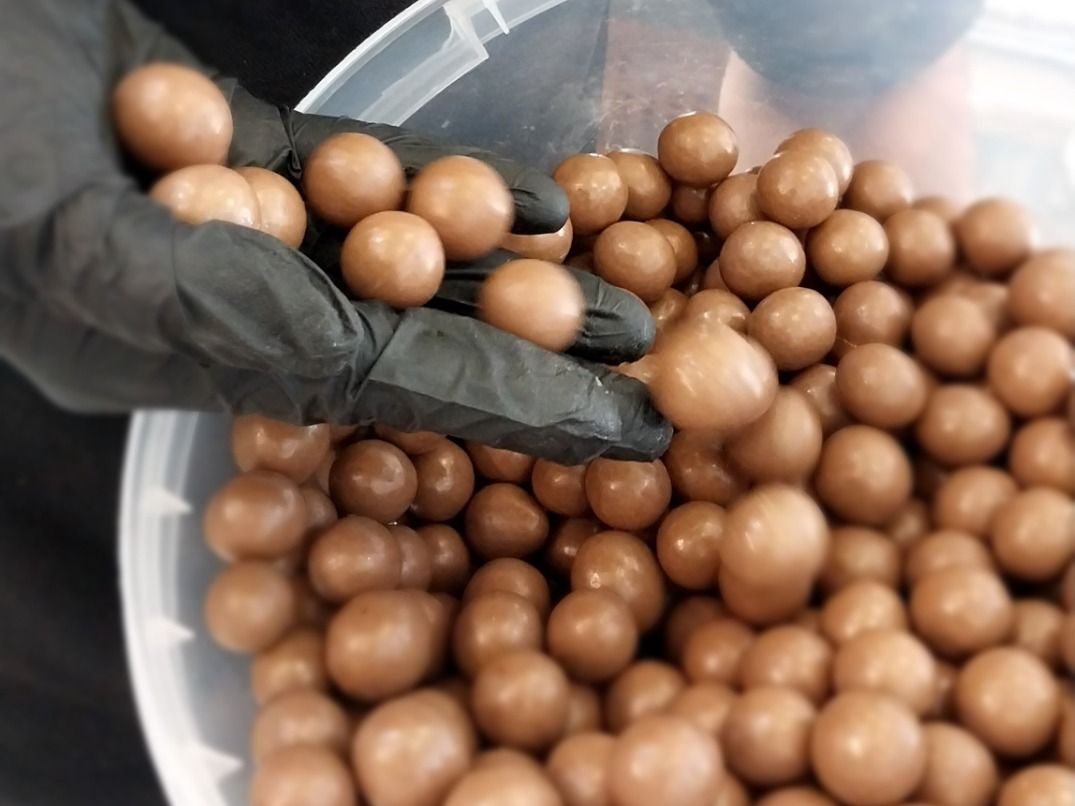 Hazelnut Dragee Chocolate