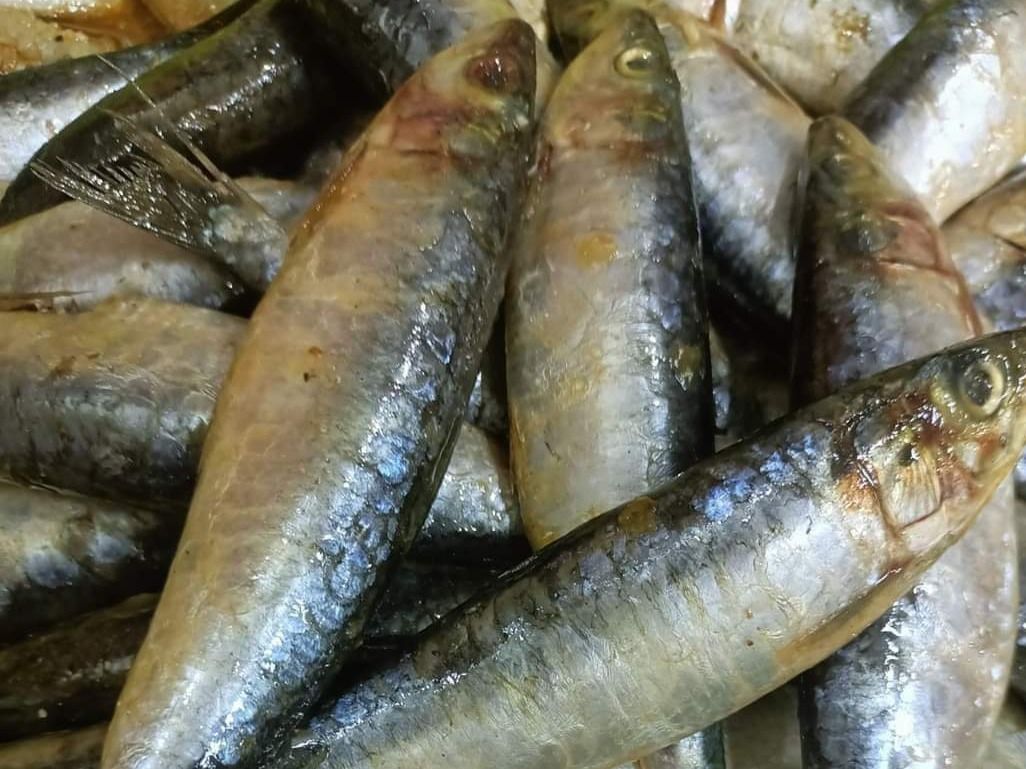 Full Yemeni Sardine