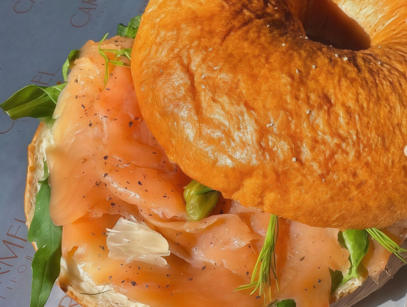 Salmon Bagel