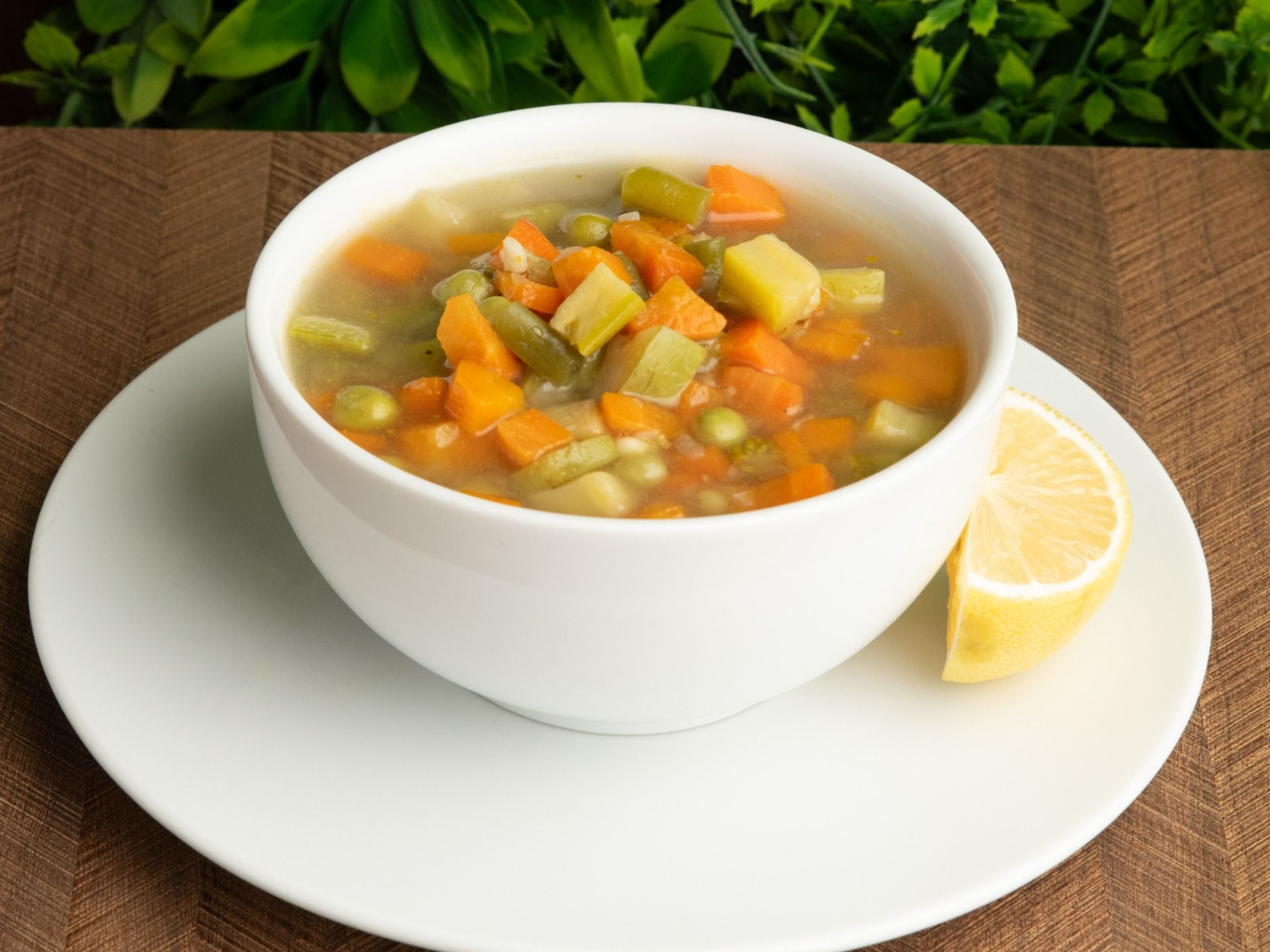 Vegetable Soup