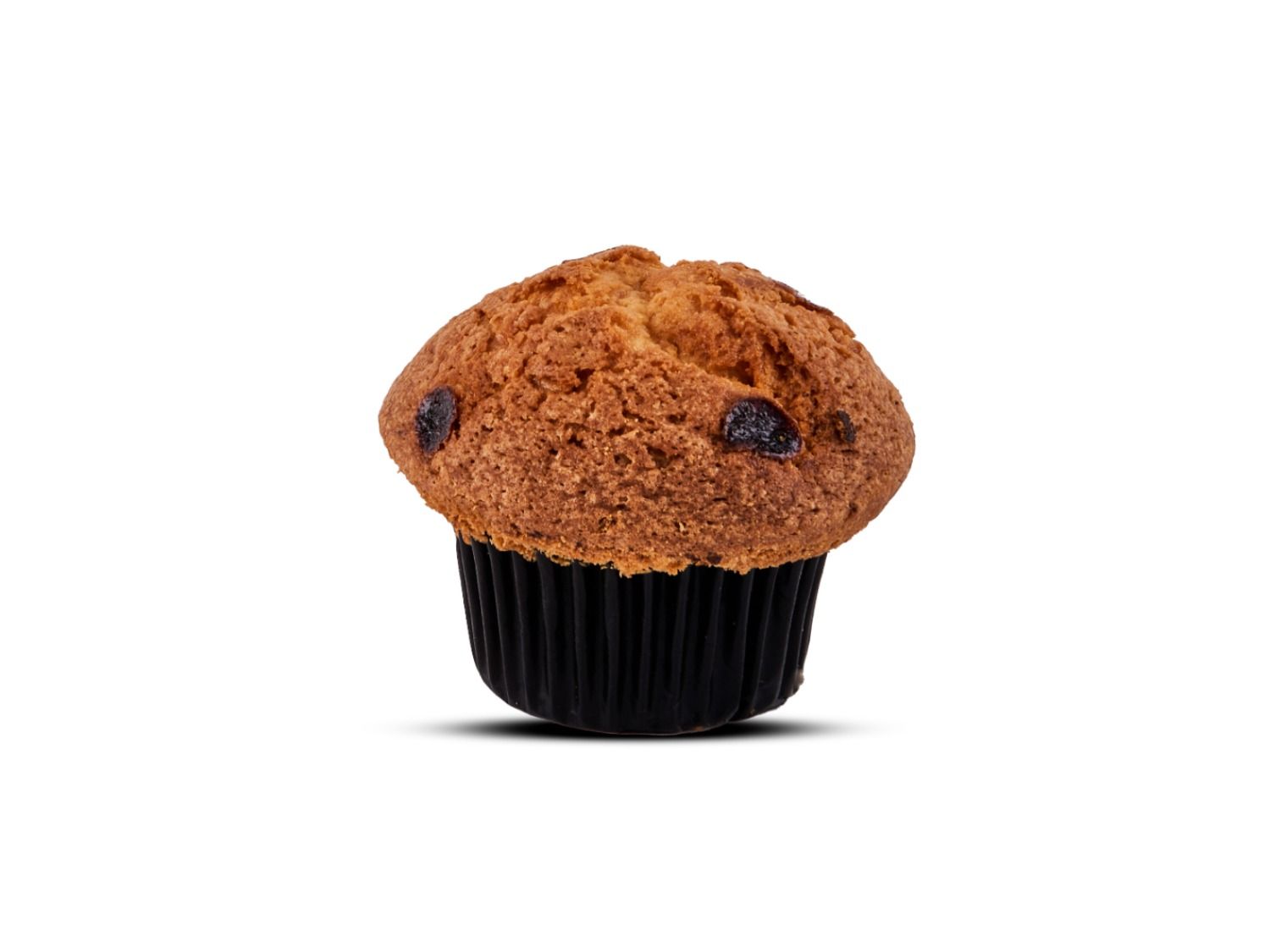 Blueberry Muffin