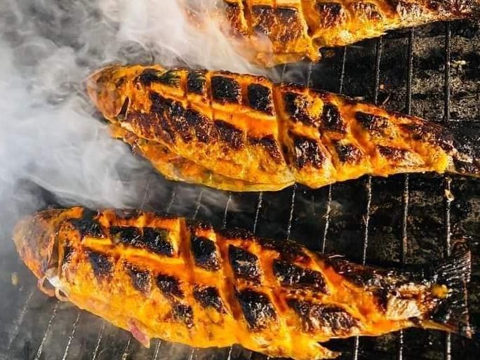 Mackerel