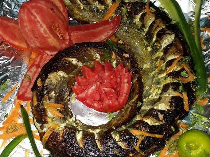 Eel Fish