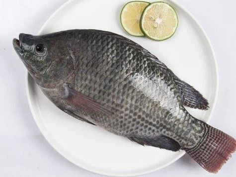 Fresh Raw Cleaned Tilapia