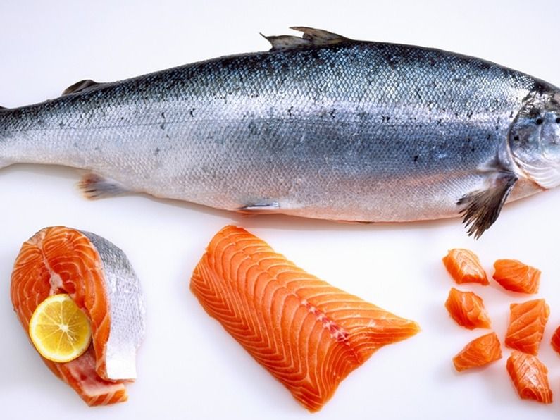 Fresh Raw Salmon Fillet