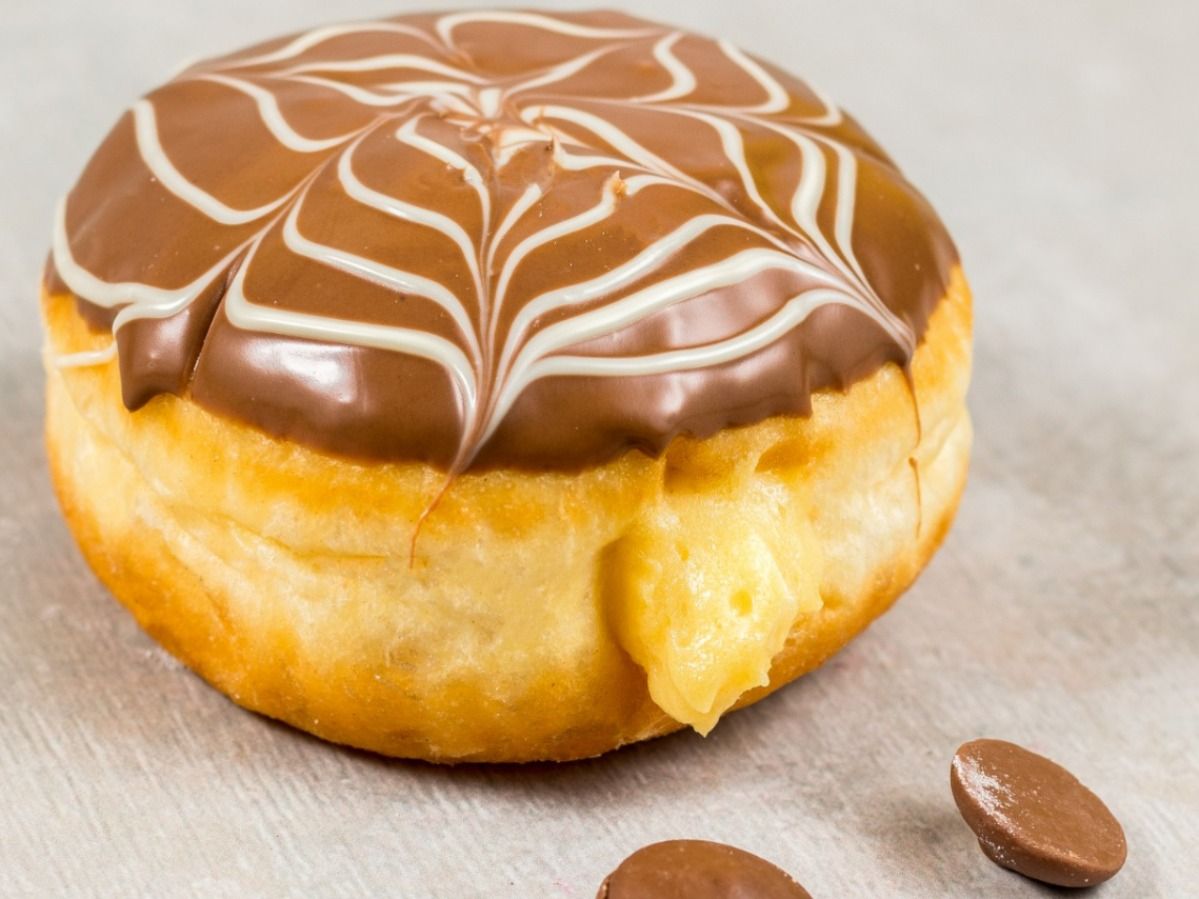 Boston Cream Shell Premium