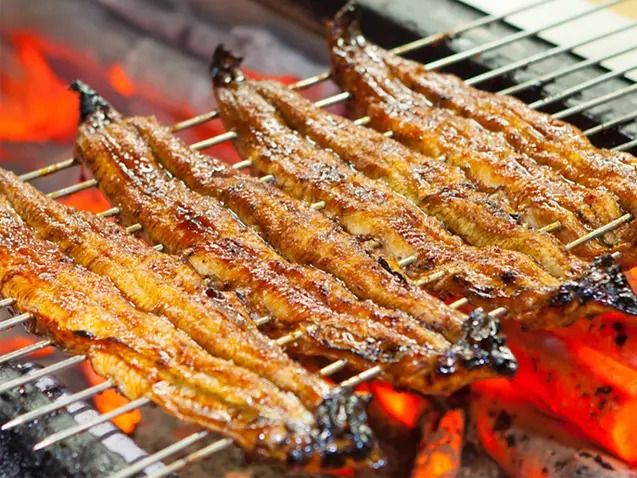 Eel Fish.