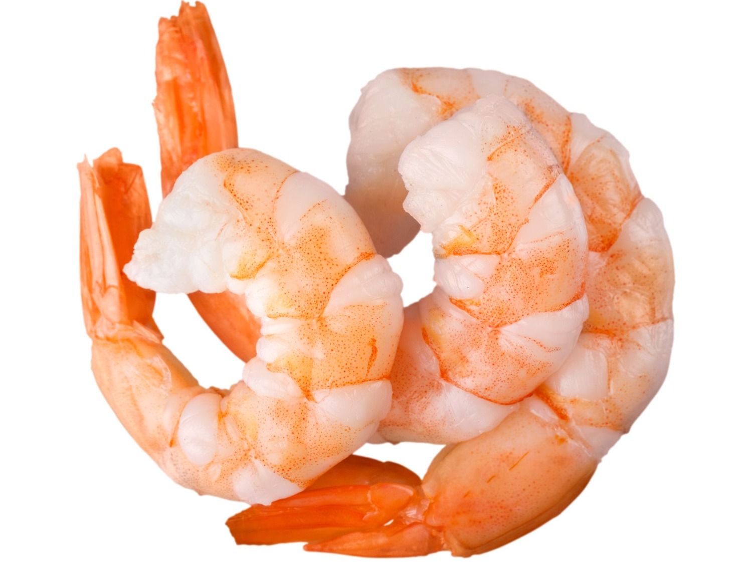 Extra Shrimps