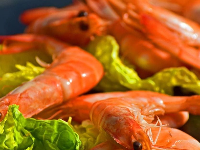 1/3 Jumbo Shrimp