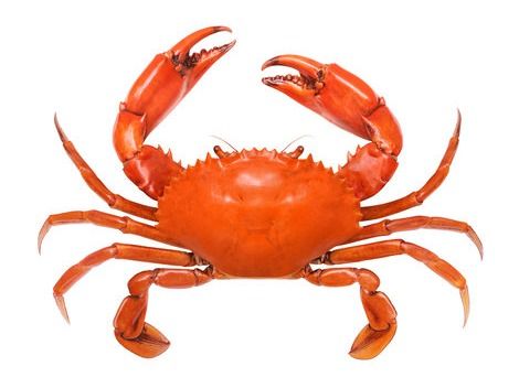 3/4 Kg Crabs