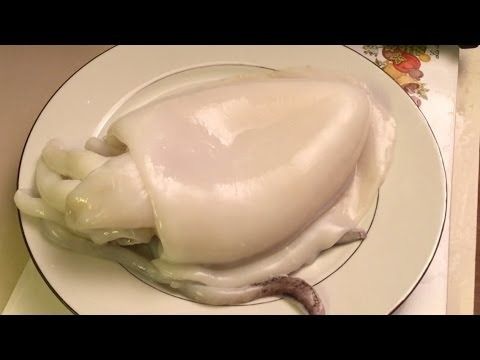 1/3 Squid