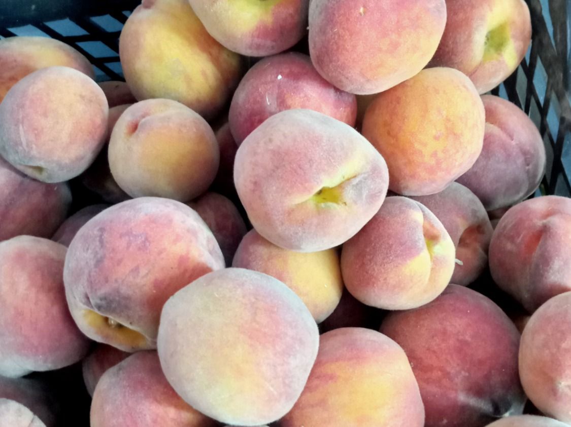 Peache Pieces