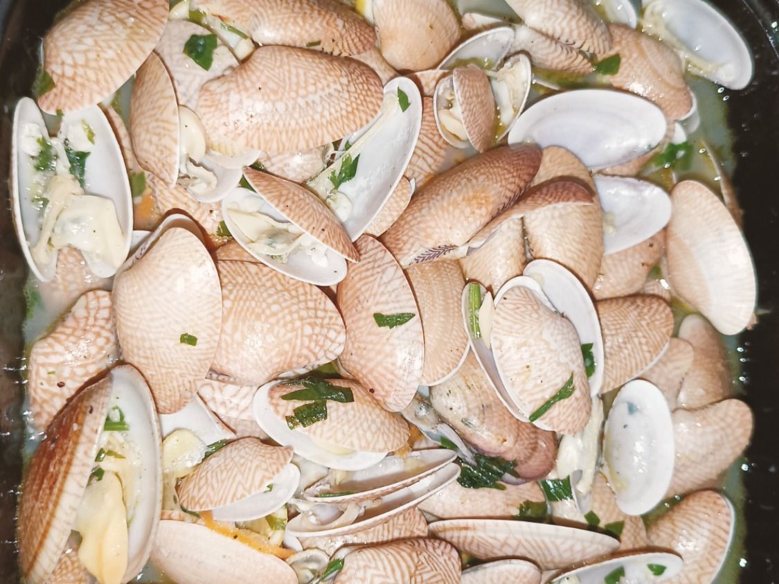 Clams