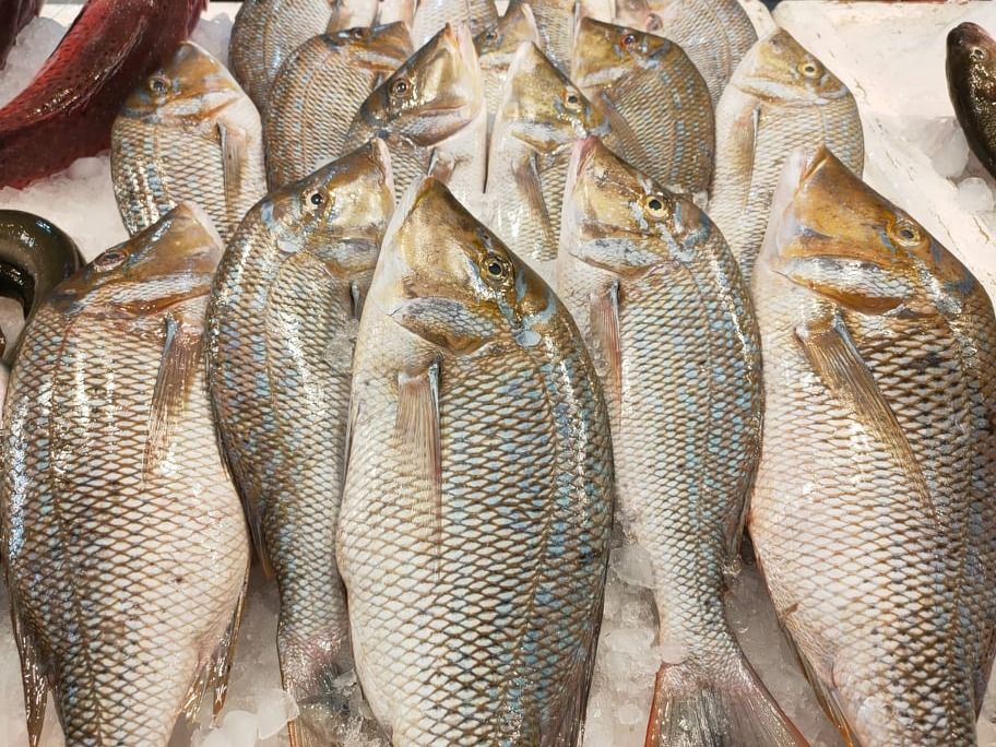 Grilled Sho'our Fish with Bran