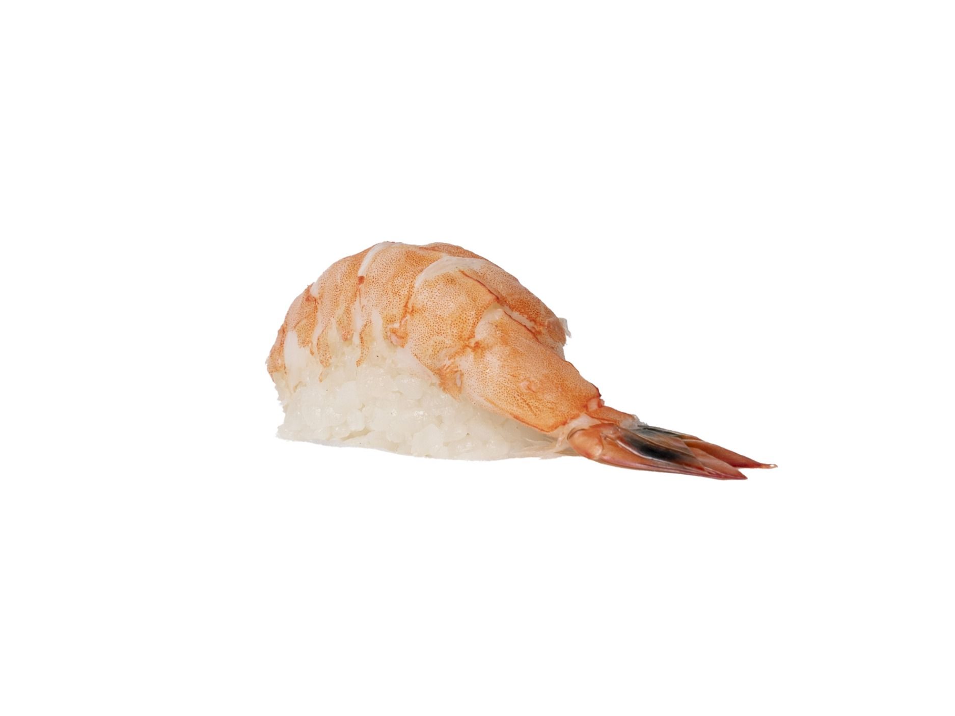 Nigiri Shrimp