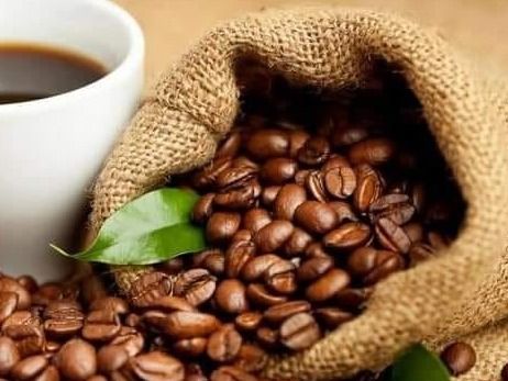بن كولمبي وسط سادة