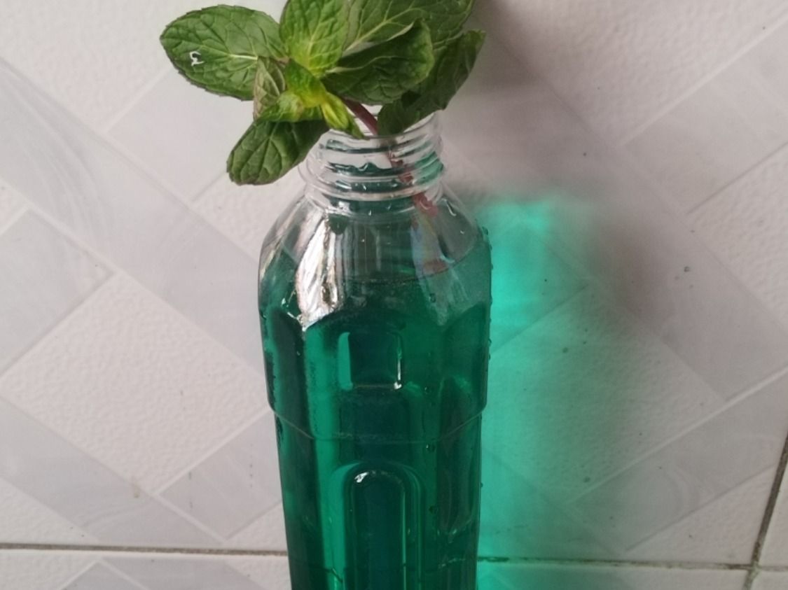 1 Liter Lemon Mint