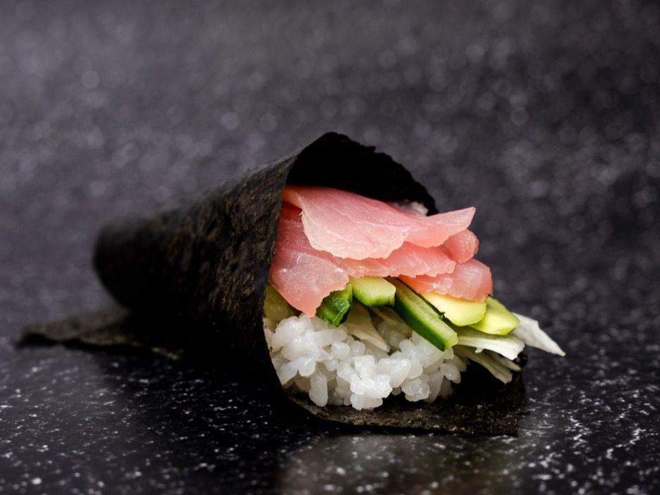 Timaki the Eel