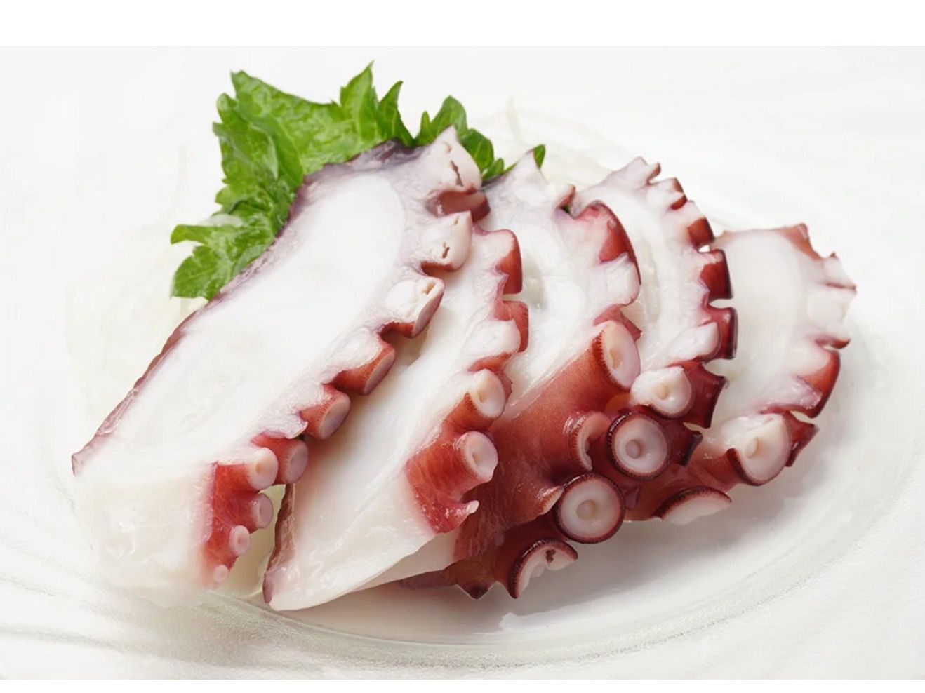 Tako Octopus