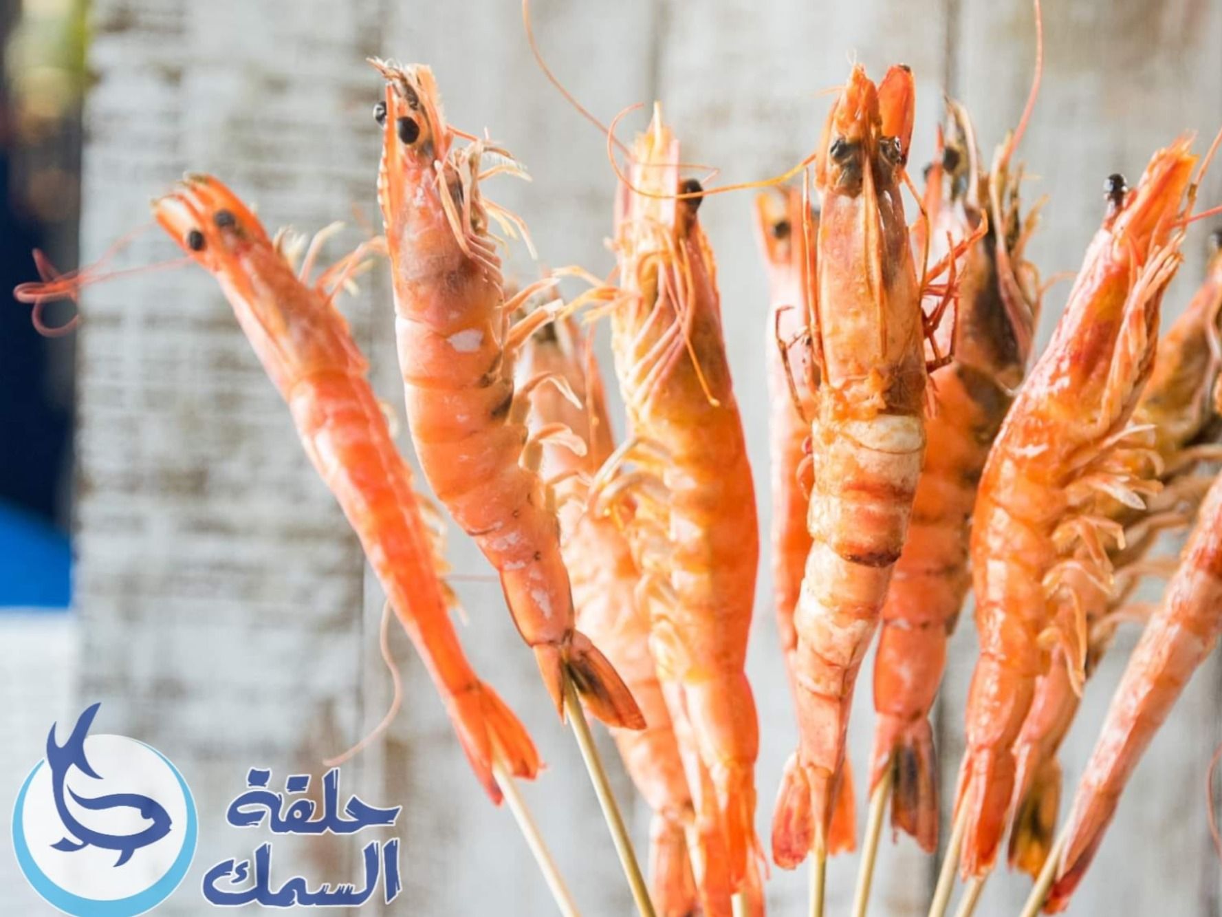 Baladi Shrimp
