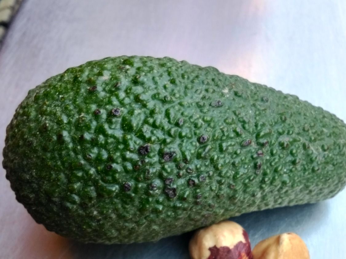 Avocado Your Way