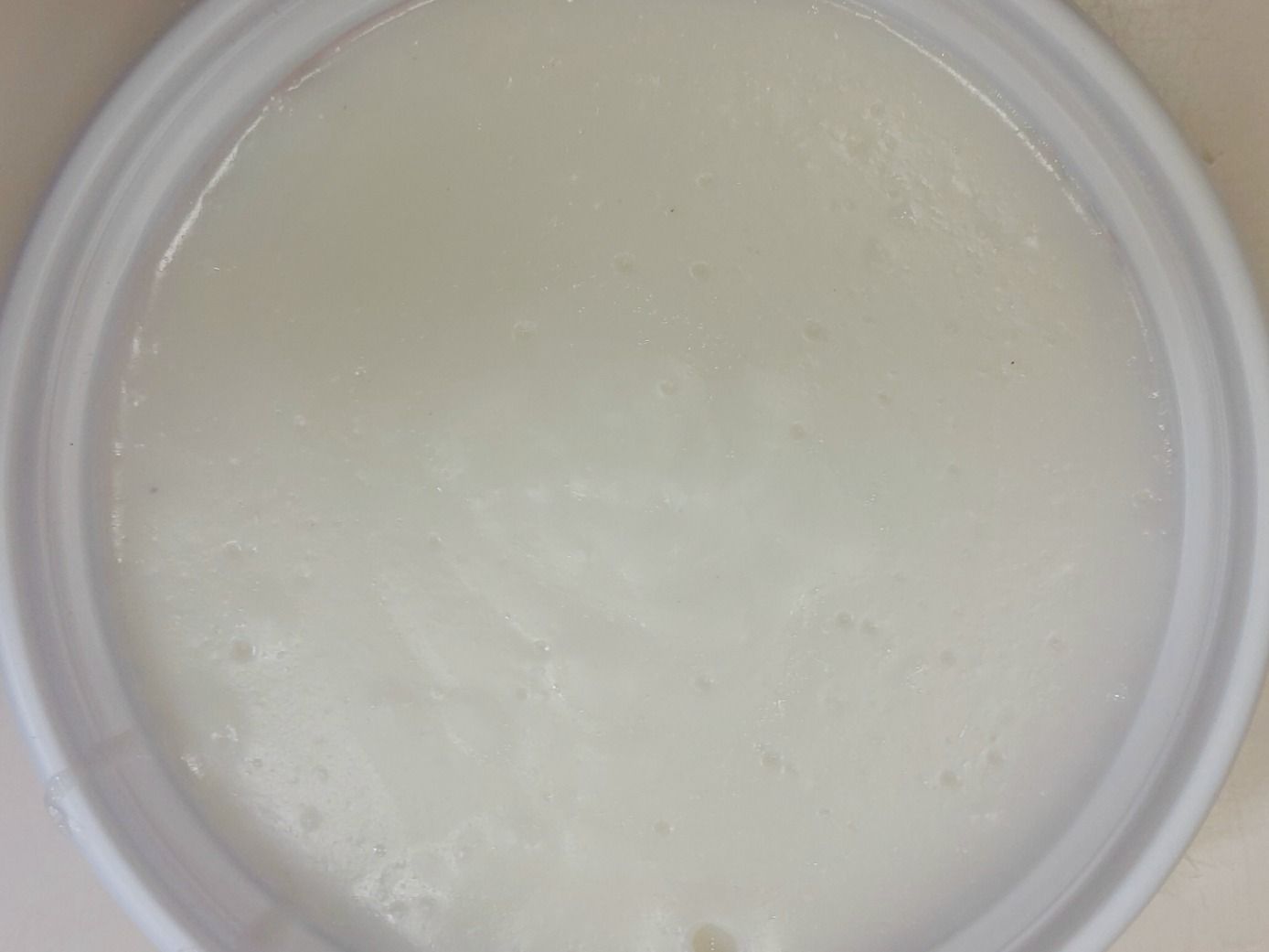 Plain Milk Pudding