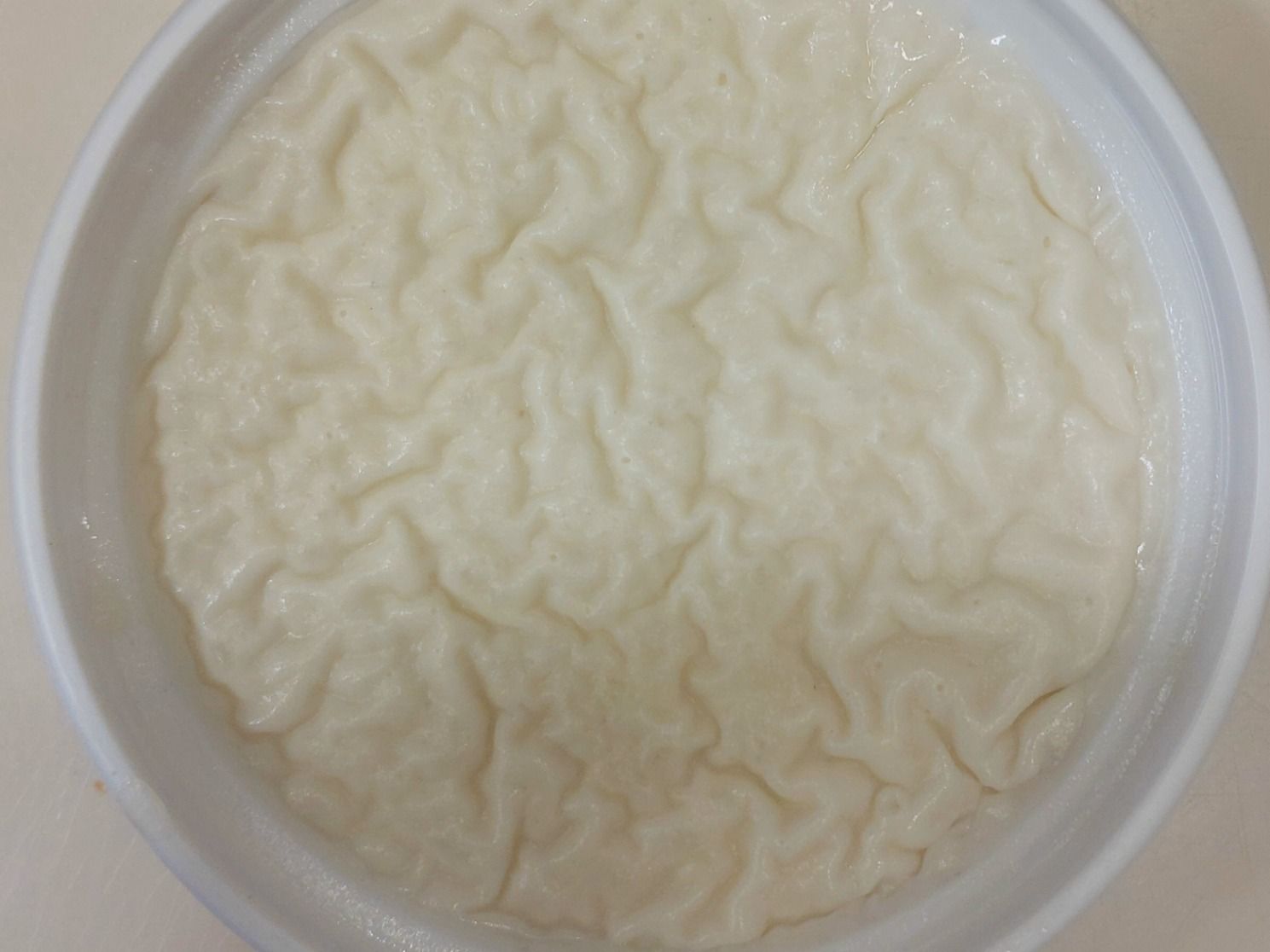 Small Rice Pudding