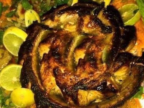 Eel Fish