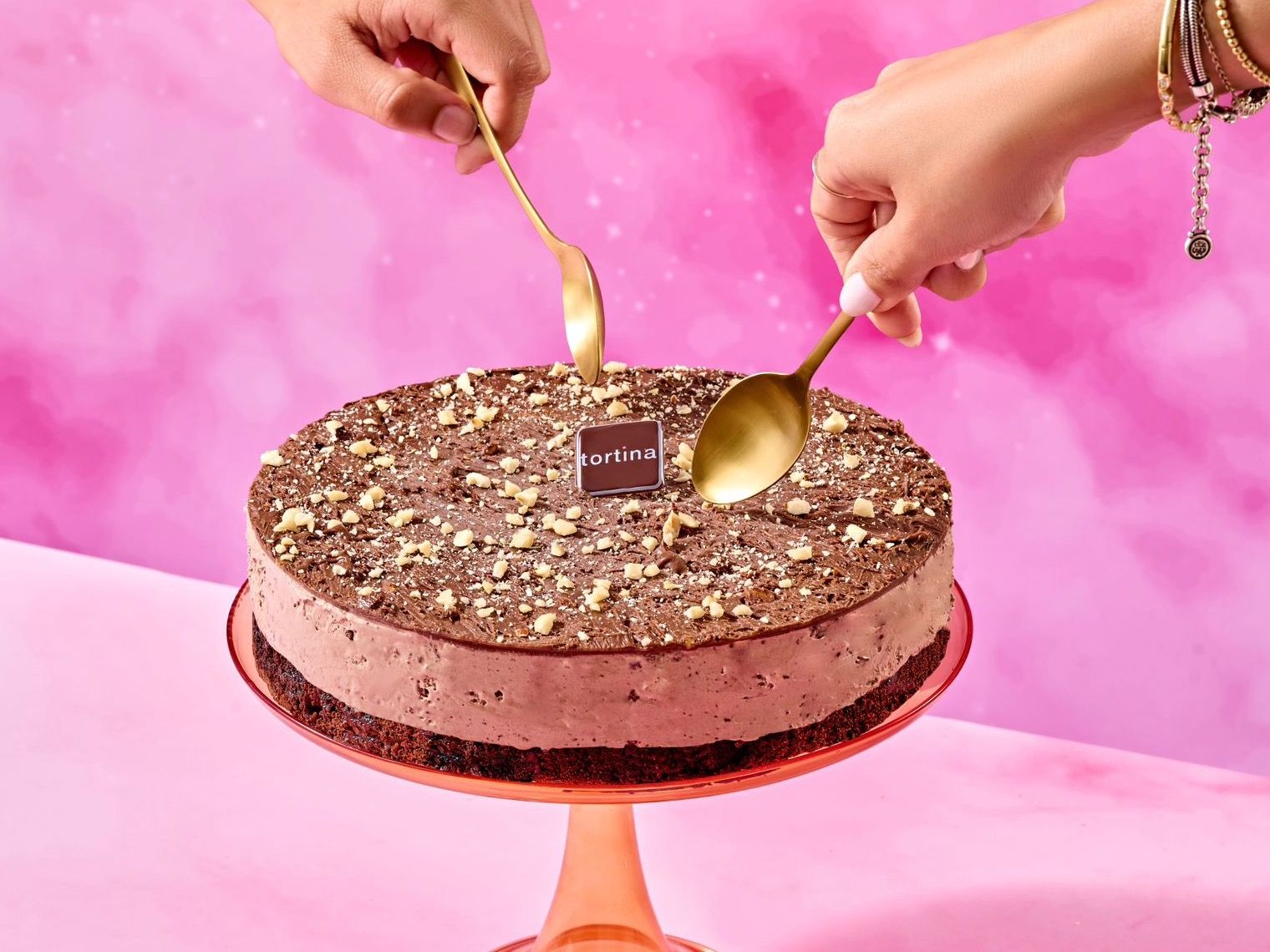 Gianduja Ice Cream Cake
