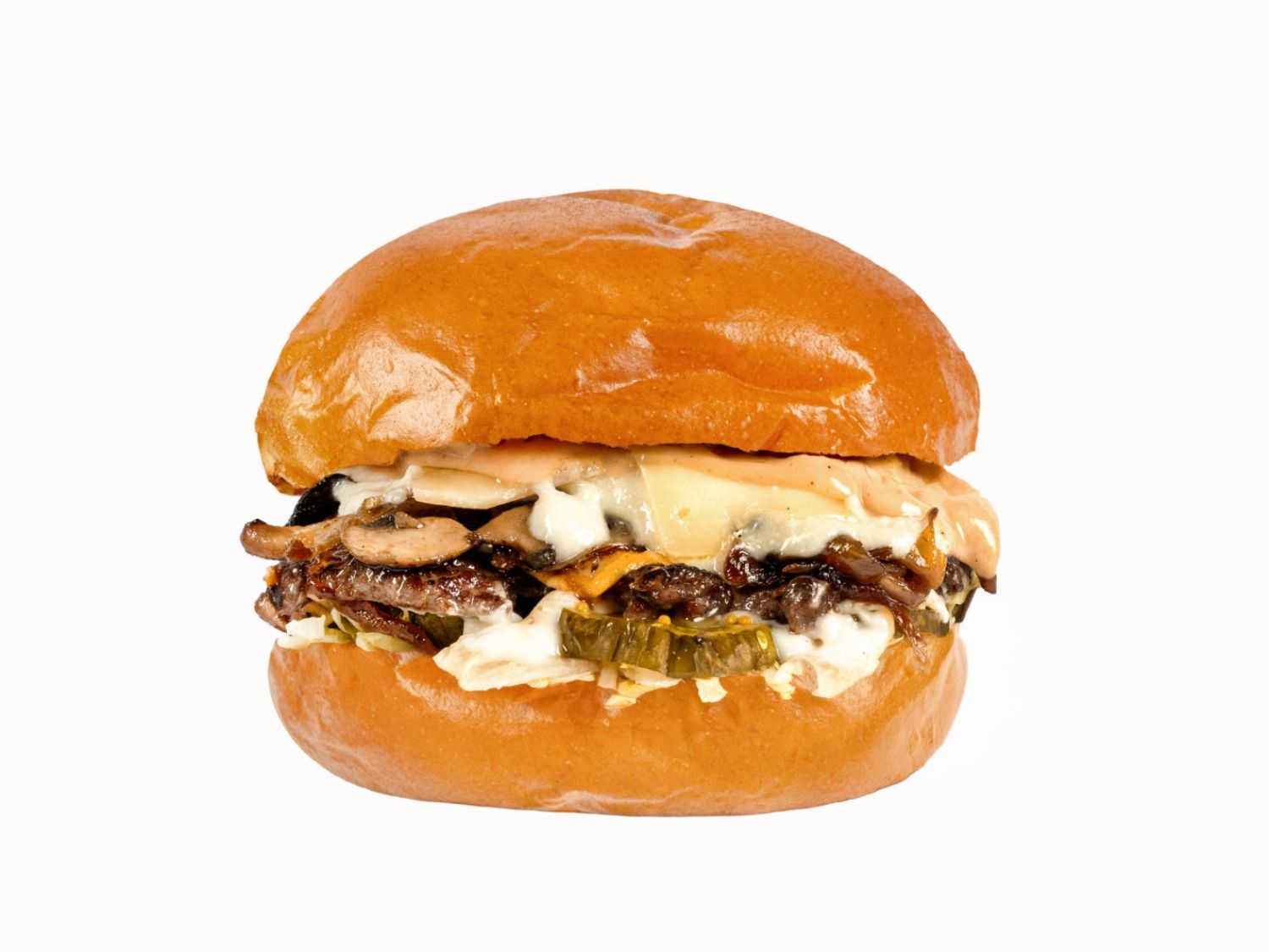 Special Swiss Melt Burger Sandwich