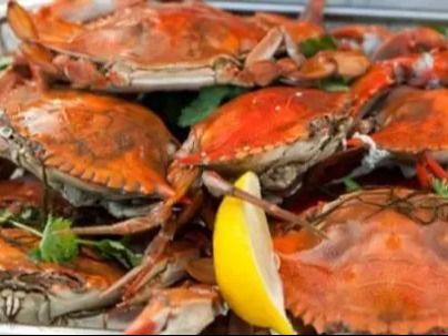 Crabs