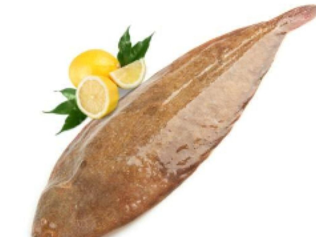 Moses Fish