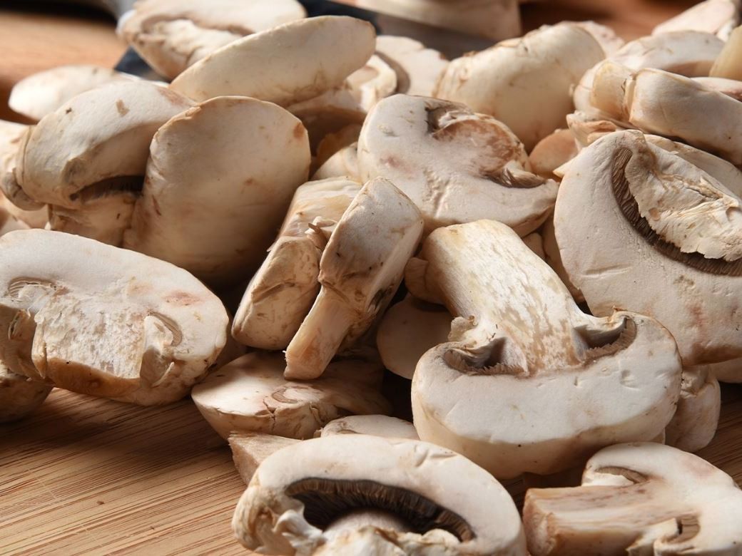 Mushroom