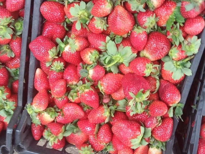 Strawberry Juice