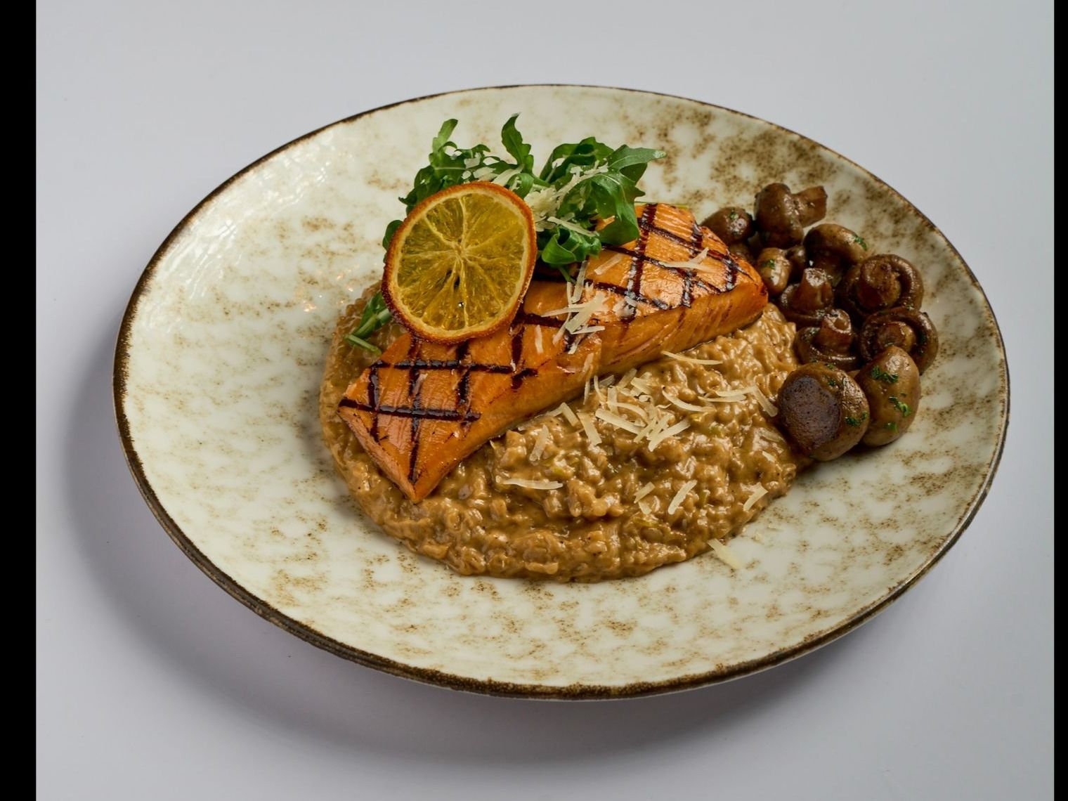Salmon