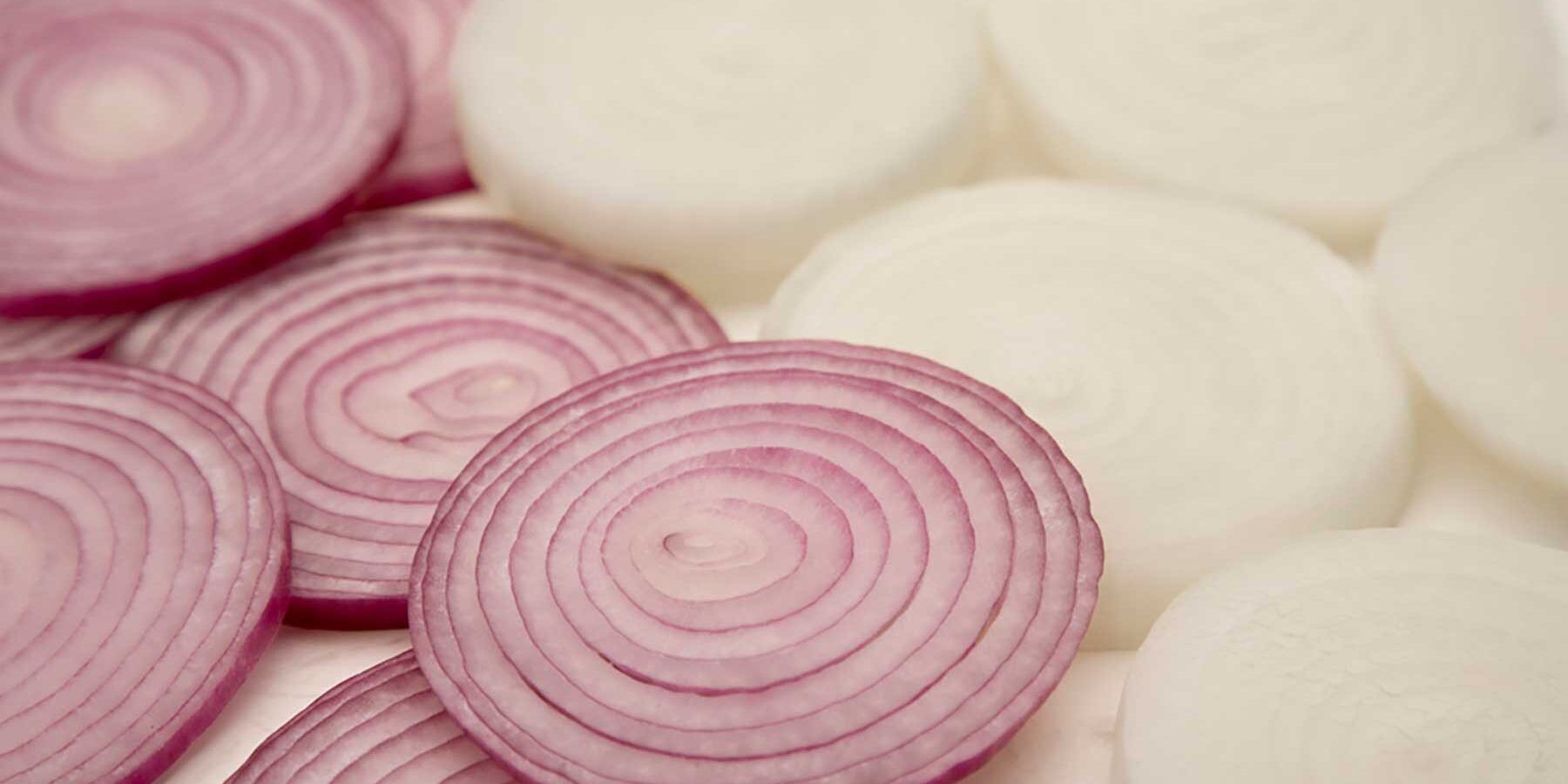 Slices of onions