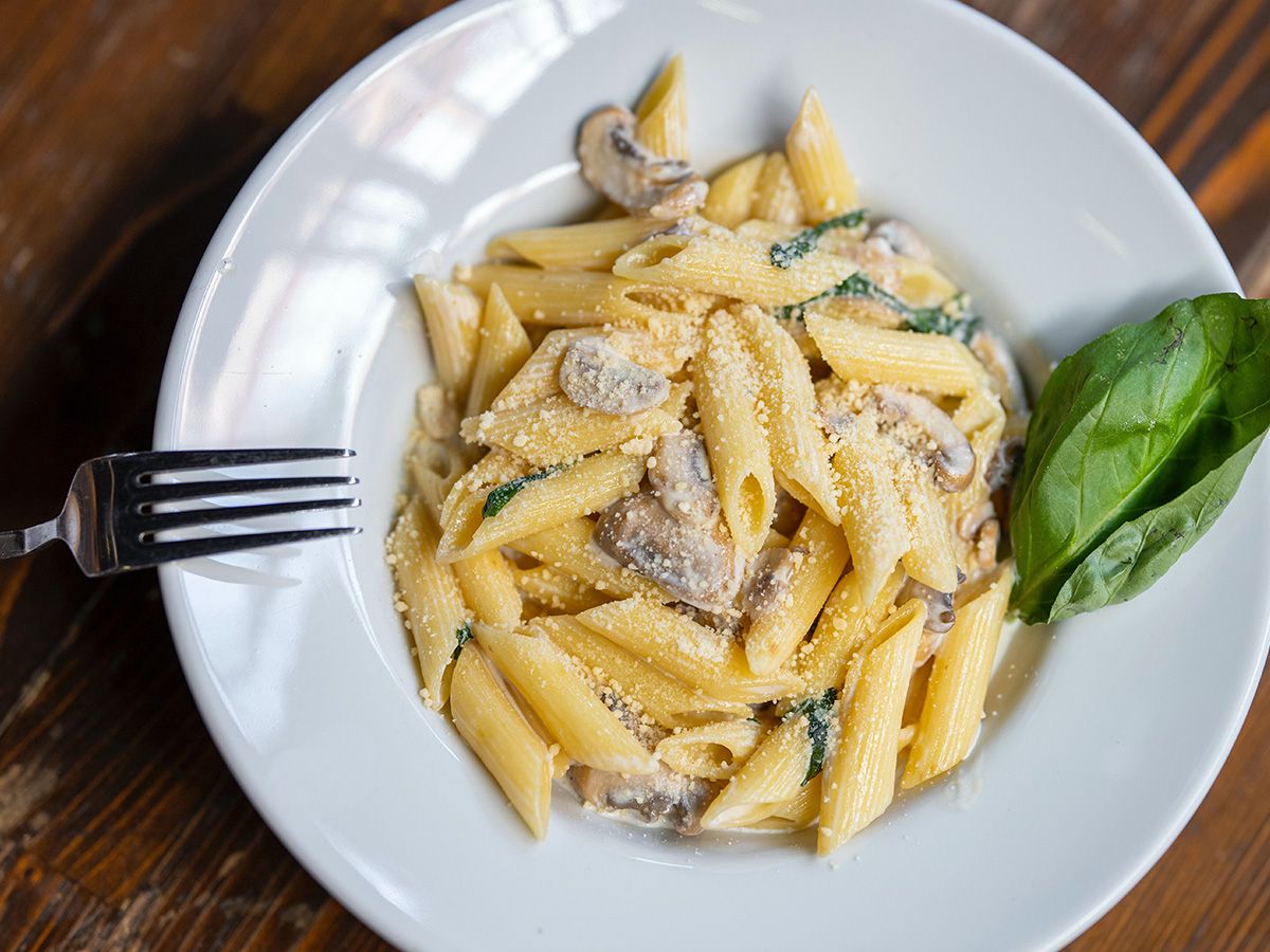 Penne alfredo Pasta