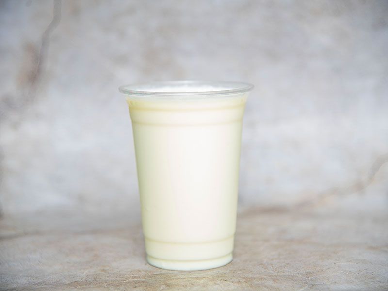 Lion's Drink