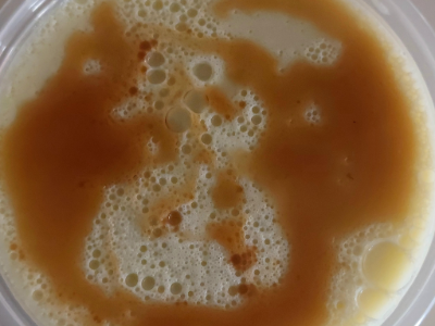 creme caramel